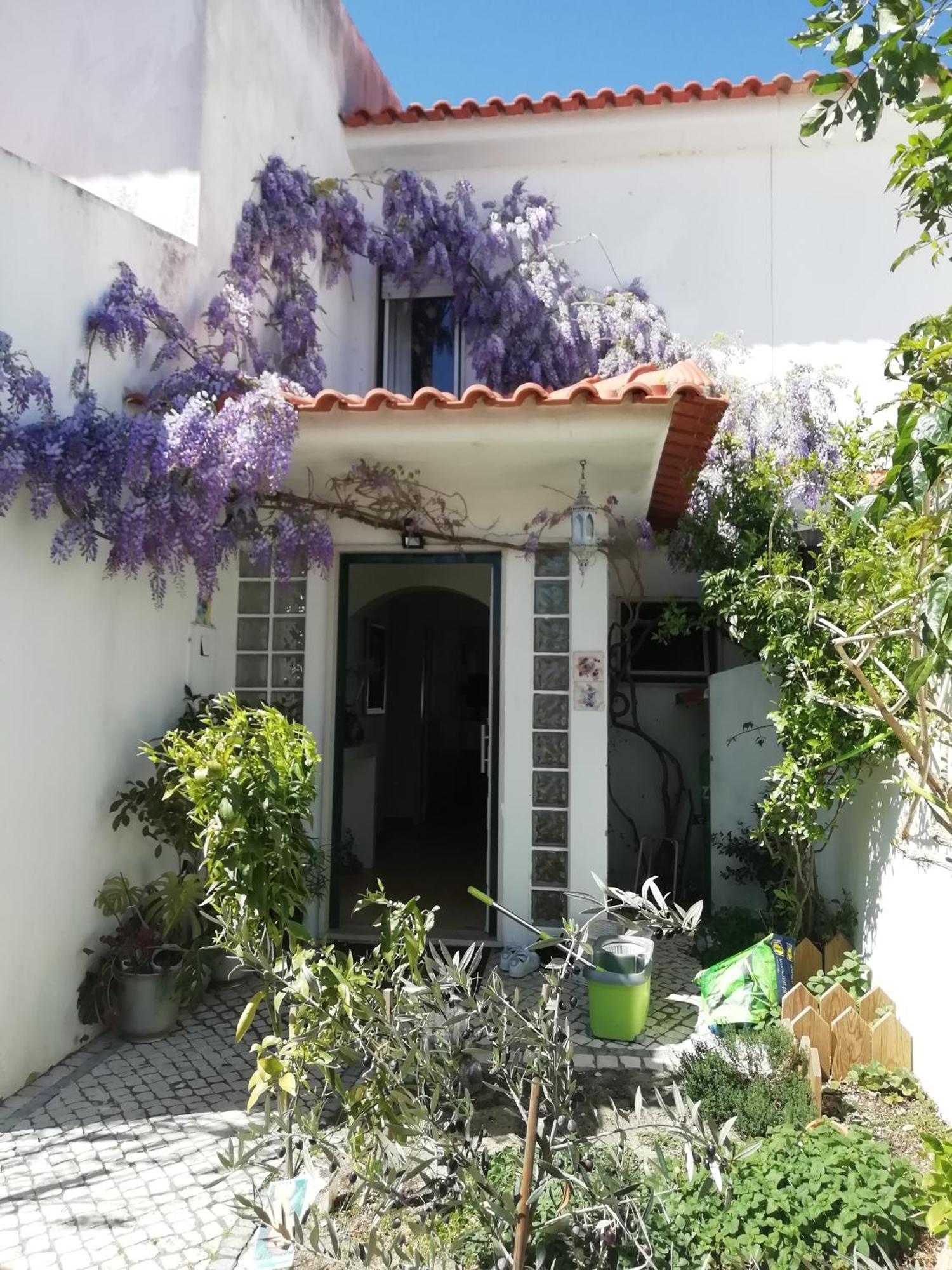 Silver Home Nazaré Dış mekan fotoğraf